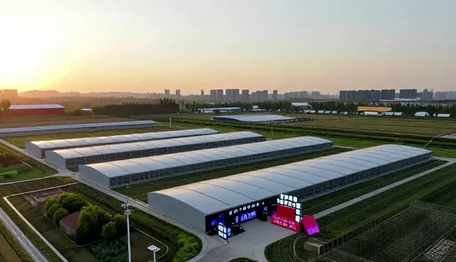 账号代运营如何通过后期制作实现内容价值最大化